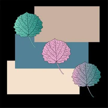 Three rounded leaves with colored rectangles on a black background Stock Illustration