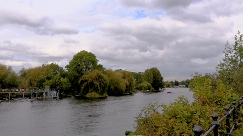 Three rowers pass on the river fast 스톡 동영상 118040498