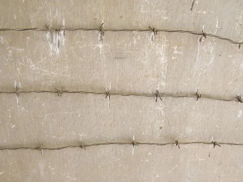 Three rows of barbed wire against a concrete prison wall 写真素材