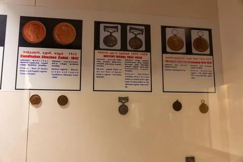 Three rows of medals are displayed on a wall. in Chennai Stock-Fotos
