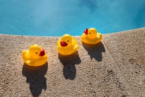 Three rubber ducks on the edge of a pool Stock Photos