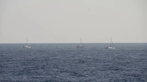 Three sailboats driven by the engine and the wind sail the horizon Stock-Footage 83541075