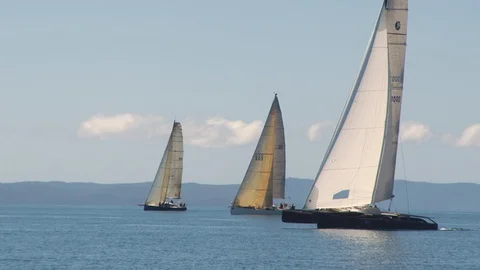 Three sailboats going the same direction Stock-Footage 91396834