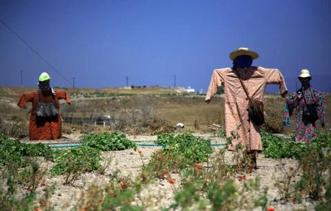 Three scarecrows Stock Photos