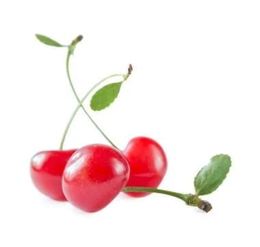 Three scarlet cherries Stock Photos