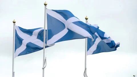 Three Scottish Flags blowing in the wind Stock Footage 78720630