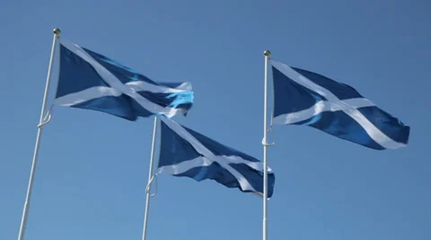 Three Scottish Saltires blowing in the Wind Video stock 38668475