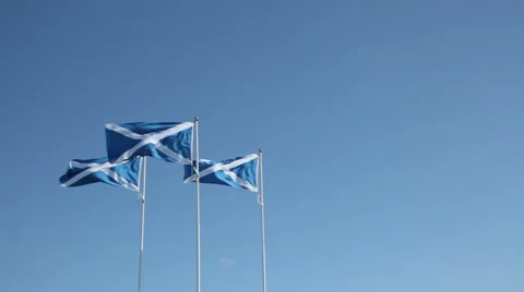 Three Scottish Saltires blowing in the Wind Stock Footage 38678222
