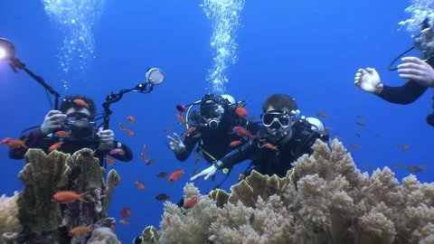 Three scuba divers surrounded by coral and fish Stock Footage 276220499