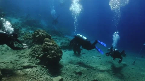 Three scuba divers under water in the Red sea Stock Footage 208159631