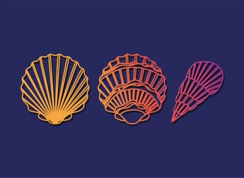 Three sea shells design vector illustration Illustrazione stock