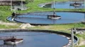 Three sedimentation basins with scrapers for sewage cleaning, timelapse HD Footage