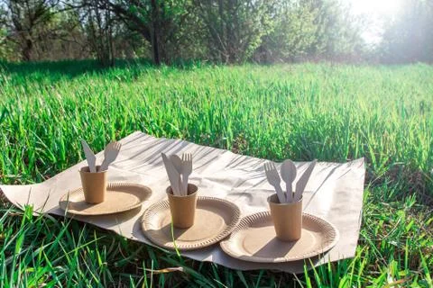 Three sets of biodegradable disposable tableware on a picnic. Stock Photos