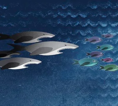 Three sharks chasing a school of fish Stock Illustration