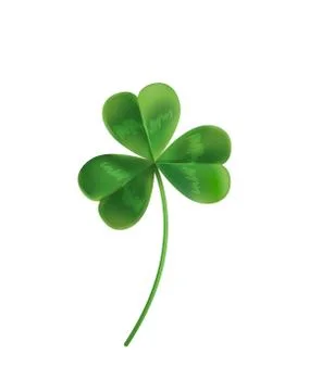 Three sheets realistic lucky clover leaves on a white background. Stock Illustration