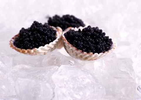 Three shell with black caviar on ice, close up Foto stock