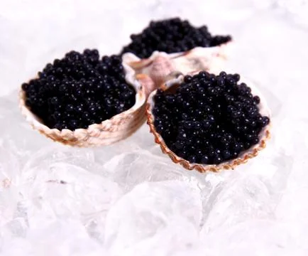 Three shell with black caviar on ice Stock Photos
