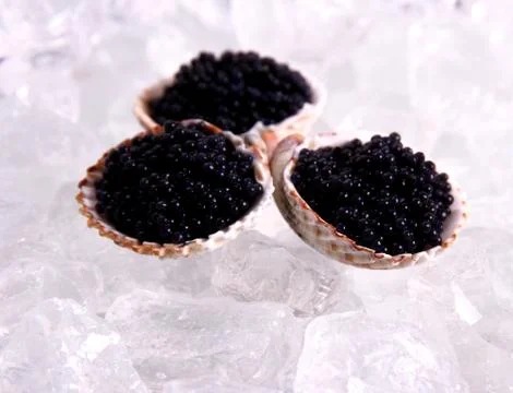 Three shell filled with black caviar on ice Stock Photos