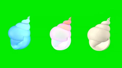 Three shells on a green screen. 3D animation. Stock Footage 311528429