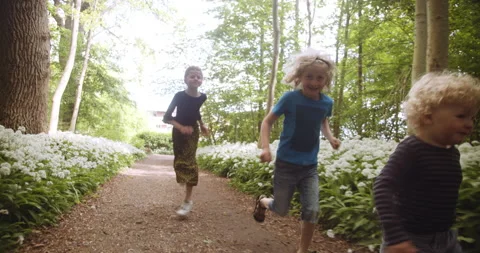 Three Siblings Having Fun and Running in Forest Pathway on a Beautiful morning Video stock 133381225