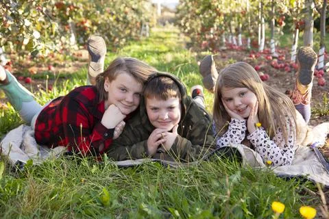 Three siblings posing in a field of apples Stock Photos