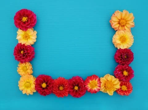 Three sided border of red and yellow dahlia flowers Stock Photos