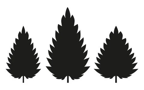 Three silhouettes of a nettle leaf on a white background Stock Illustration