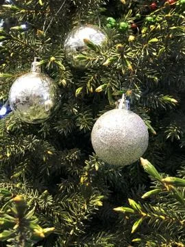 Three silver balls on the Christmas tree Stock Photos