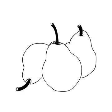 Three simple pears art illustration Stock Illustration