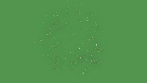 Three simultaneous firework bursts exploding against solid green screen Stock Footage 345137808