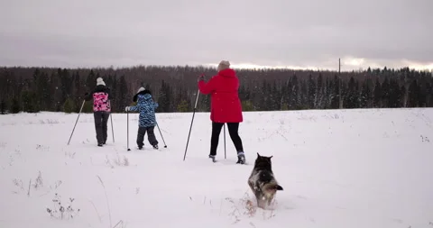 Three sisters skiing downhill during snowfall with running dog Video stock 308451044