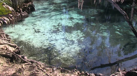 Three Sisters Spring Stock Footage 60379341