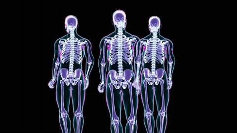 Three skeletons standing and moving normally isolated on black background 스톡 동영상 209305530