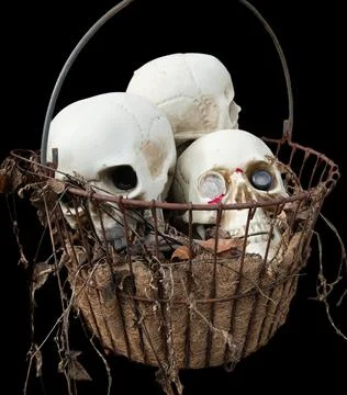 Three skulls in a basket on black background Stock Photos