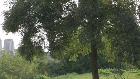 Three skyscrapers Stock Footage 160976537