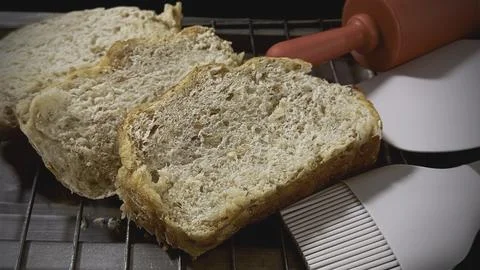 Three sliced of Fresh Homemade coarse whole wheat bread in tray, Stock Photos
