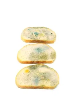Three slices of bread covered with mold isolated on a white background vertic Stock Photos