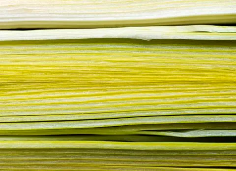 Three slices of leeks lengthwise cut Stock Photos