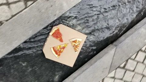 Three slices of pizza on a pizza box float on the water of the city fountain Stock Footage 162731419