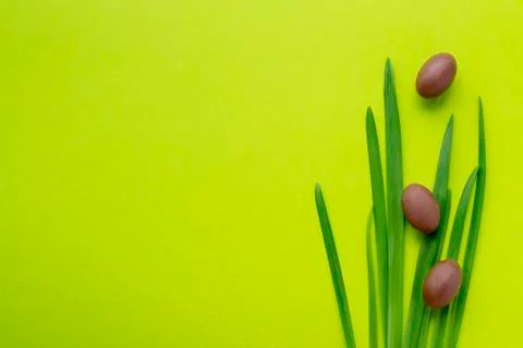 Three small chocolate eggs on a grass and on a green yellow background. Easte Stock Photos