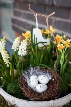 Three small decorative eggs lie in nest of twigs, spring flowers, daffodils Foto stock