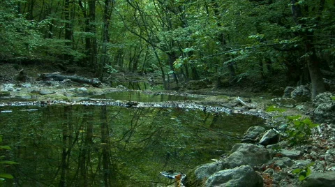 Three small lakes in the forest Stock Footage 526634