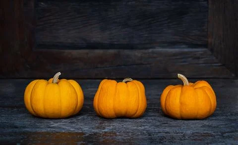 Three small natural orange pumpkins on the dark wooden background Stock Photos