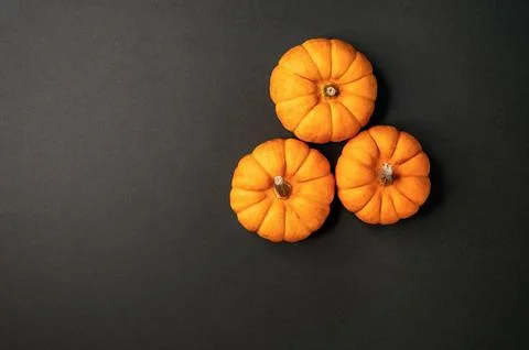 Three small orange pumpkins arranged on a dark background. Ideal for autumn Stock Photos