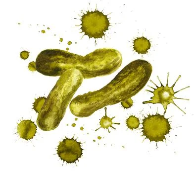 Three small pickled cucumbers Stock Illustration