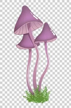 Three small poisonous mushrooms on thin stems Stock Illustration