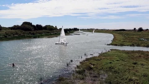 Three small sailing dinghy's and two wild swimmers. On calm river creek Stock Footage 145843648