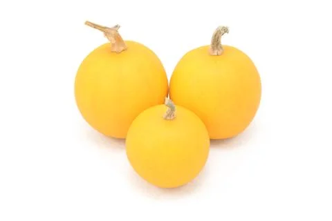 Three smooth-skinned orange ornamental gourds Stock Photos
