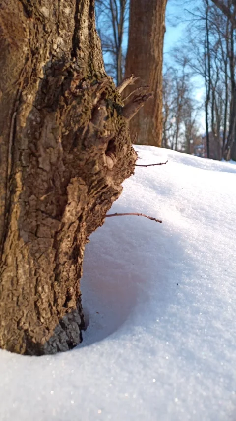 Three snow park Stock Footage 148826436