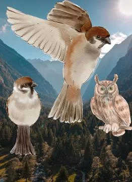 Three sparrow with green trees Stock Photos